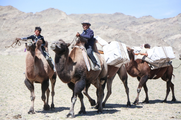 Цайны зам өв соёлын наадам